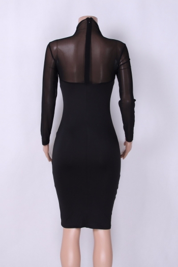 Black Mesh High-Necked Long-Sleeves Sexy Bodycon Dress