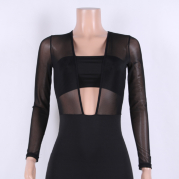 Black Mesh See Through Sexy Tight Party Dress