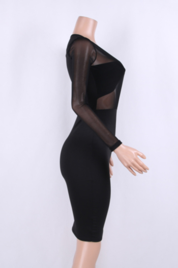 Black Mesh See Through Sexy Tight Party Dress