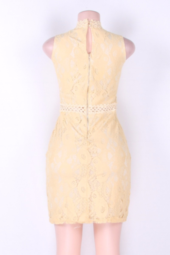 Summer New Lace Tight Elegant Bodycon Plus Dress