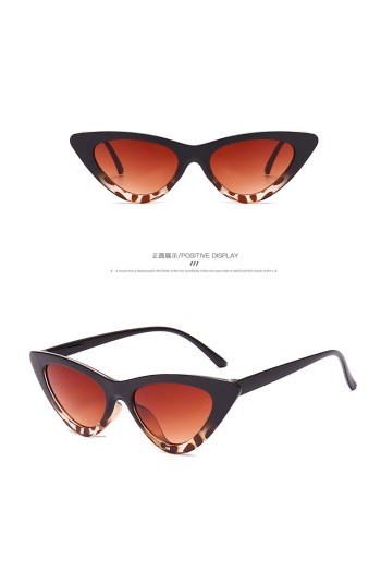 cat eye sunglasses for women chic