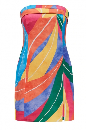 summer new stylish stretch batch printing tube design split backless zip-up slim sexy mini dress