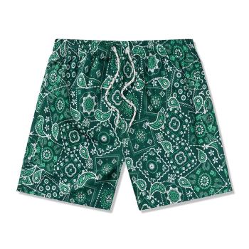 beach style plus size non-stretch paisley print lined men shorts