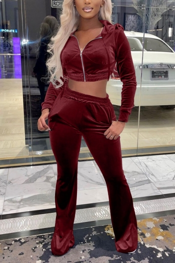 winter new stylish simple solid color pocket hooded stretch zip-up velvet plus size casual two-piece set