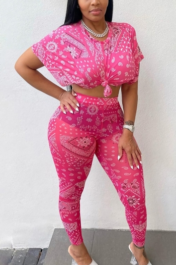 S-2XL plus size summer new stretch batch printing see through mesh crew neck stylish pants sets(without panties)