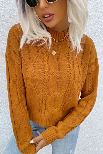 autumn & winter new knitted stretch long sleeve stylish casual cable sweater