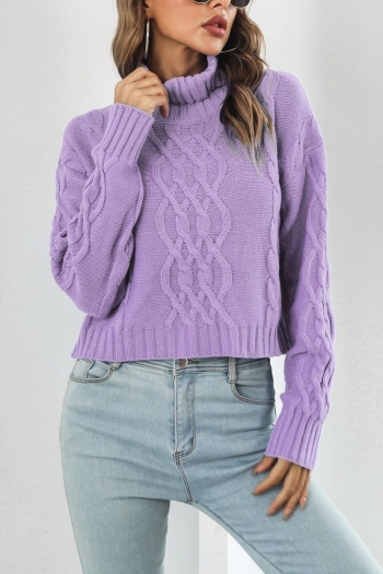 winter new 3 colors twist knitted slight stretch turtleneck stylish casual sweater(new added color)