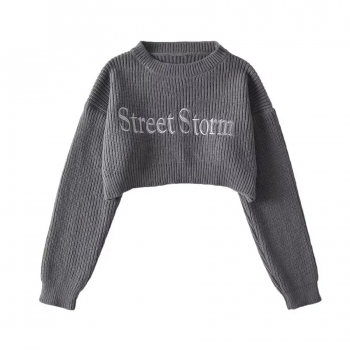 Autumn & winter new 4 colors letter embroidered slight stretch long sleeve stylish street style all-match crop knitted sweater