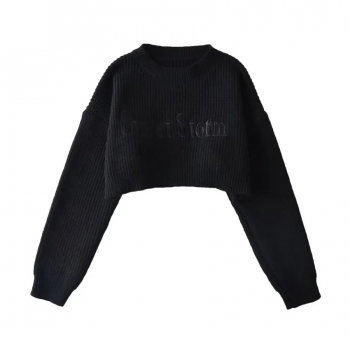 Autumn & winter new 4 colors letter embroidered slight stretch long sleeve stylish street style all-match crop knitted sweater