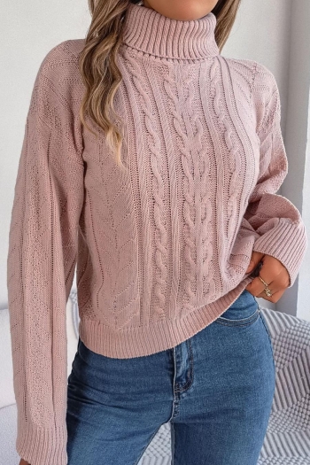 casual slight stretch twist knitted 3 colors turtleneck all-match sweater