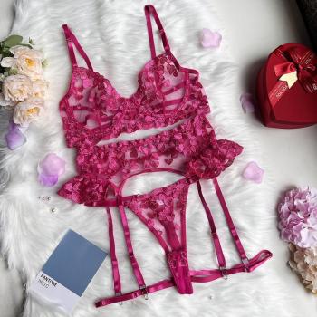 Sexy Bra and Panty Sets,Heart Embroidered Mesh Lace Lingerie for