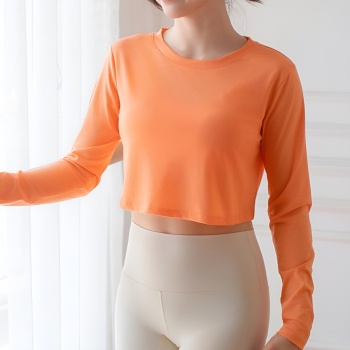 sports slight stretch quick dry long sleeves crop top (size run small)