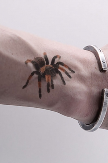 five pc set new halloween masquerade spider multi-elements waterproof animal tattoo stickers (size:10.5*6cm)