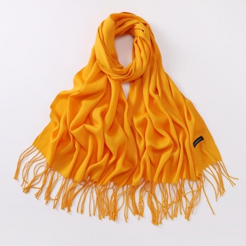 one pc new 11 colors cashmere tassel warm stylish all-match scarf 200*70cm