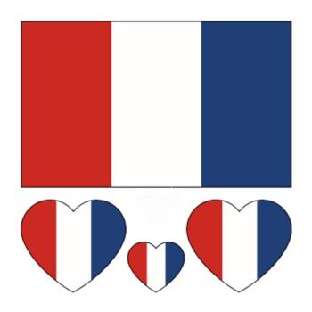 france flag print water proof three pc face stickers(size:60*60mm)
