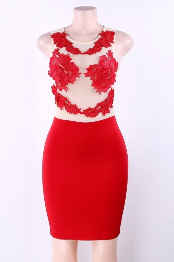 Applique Floral Mesh Bodycon Dress
