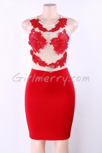 Applique Floral Mesh Bodycon Dress