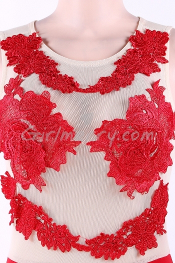 Applique Floral Mesh Bodycon Dress