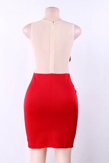 Applique Floral Mesh Bodycon Dress