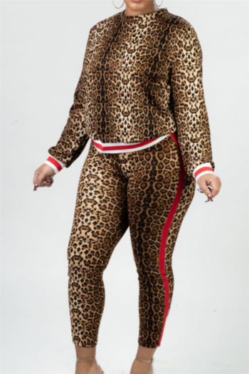 plus size winter new stylish leopard batch printing stretch fit crop pants two-piece set