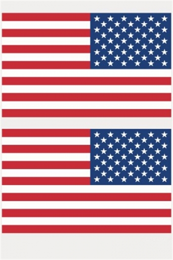 One pc new american flag party parade festival disposable face stickers(size:60*80mm)