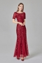 new stylish mesh sequin patchwork embroidery inelastic plus size 7 colors zip-up elegant maxi evening dress (with lining)_Black_Rose Red
