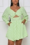 autumn new stylish 6 colors simple plaid printing hollow plus size pocket non-stretch casual mini dress_Light Green_Beige_Blue_Pink_Yellow_Green