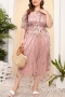 m-4xl plus size summer new stylish mesh see-through embroidery slight stretch high quality elegant maxi dress(with lined)_Black_Pink