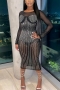autumn new plus size stretch mesh see through rhinestone long sleeves zip-up high quality slim sexy midi dress(with lining)_Black