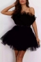 sexy plus size slight stretch double-layer mesh stitching tube design mini dress_Black