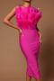 sexy slight stretch feather decor tube design midi dress_Magenta