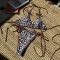 sexy leopard printing padded bow halter-neck triangle bikini set_Red_Brown
