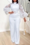 spring & summer new mesh patchwork stretch puff sleeve tie-waist bow knot decor zip-up stylish simple jumpsuit(with belt)_Black_White