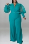 xl-5xl plus size autumn new stylish 5 colors mesh patchwork see-through deep v belt slight stretch sexy jumpsuit_Black_Dark Blue_Magenta_Orange_Green