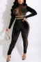 autumn new stylish two colors see-through mesh stitching rhinestone decor stretch slim zip-up plus size high quality sexy jumpsuit_Black
