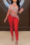 plus size slight stretch mesh spliced rhinestone zip-up sexy jumpsuit_Black_White_Red