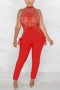 plus size stretch rhinestone mesh stitching lace-up zip-up sexy jumpsuit_Black_White_Red