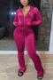 casual plus size stretch pure color hooded velvet two-piece set new add colors_Black_Gray_Pink_Red_Rose Red_Magenta