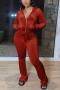 casual plus size stretch pure color hooded velvet two-piece set new add colors_Black_Gray_Pink_Red_Rose Red