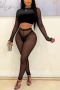 spring new stylish mesh patchwork contrast color see-through plus size stretch sexy two-piece set(without lining)_Black