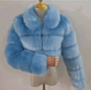 winter new stylish solid color zip-up plus size casual inelastic warm fur jacket_Black_White_Red_Sky Blue