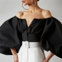 autumn new stylish three colors puff long sleeves solid color button off shoulder inelastic exquisite blouses_Black