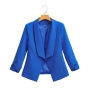 spring & autumn new 6 colors solid color inelastic long sleeves stylish blazer_Black_Beige_Sky Blue_Blue