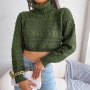 autumn & winter new 3 colors solid color stretch long sleeves high neck stylish crop sweater_White_Dark Green