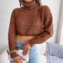 autumn & winter new 3 colors solid color stretch long sleeves high neck stylish crop sweater_White_Dark Green_Brown