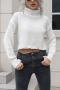 winter new three colors solid color knitted high stretch turtleneck stylish crop sweater_Black_White