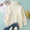 casual slight stretch ribbed knit high collar solid color sweaters_Black_Blue_Beige