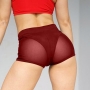 s-5xl plus size high stretch 4 colors see-through mesh sexy shorts_Black_Rose Red