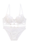 slight stretch mesh cutout sexy bra set(with underwire)_Black_White