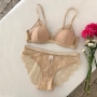 sexy slight stretch lace mesh bra set_Black_Rose Red_Haze Blue_Beige